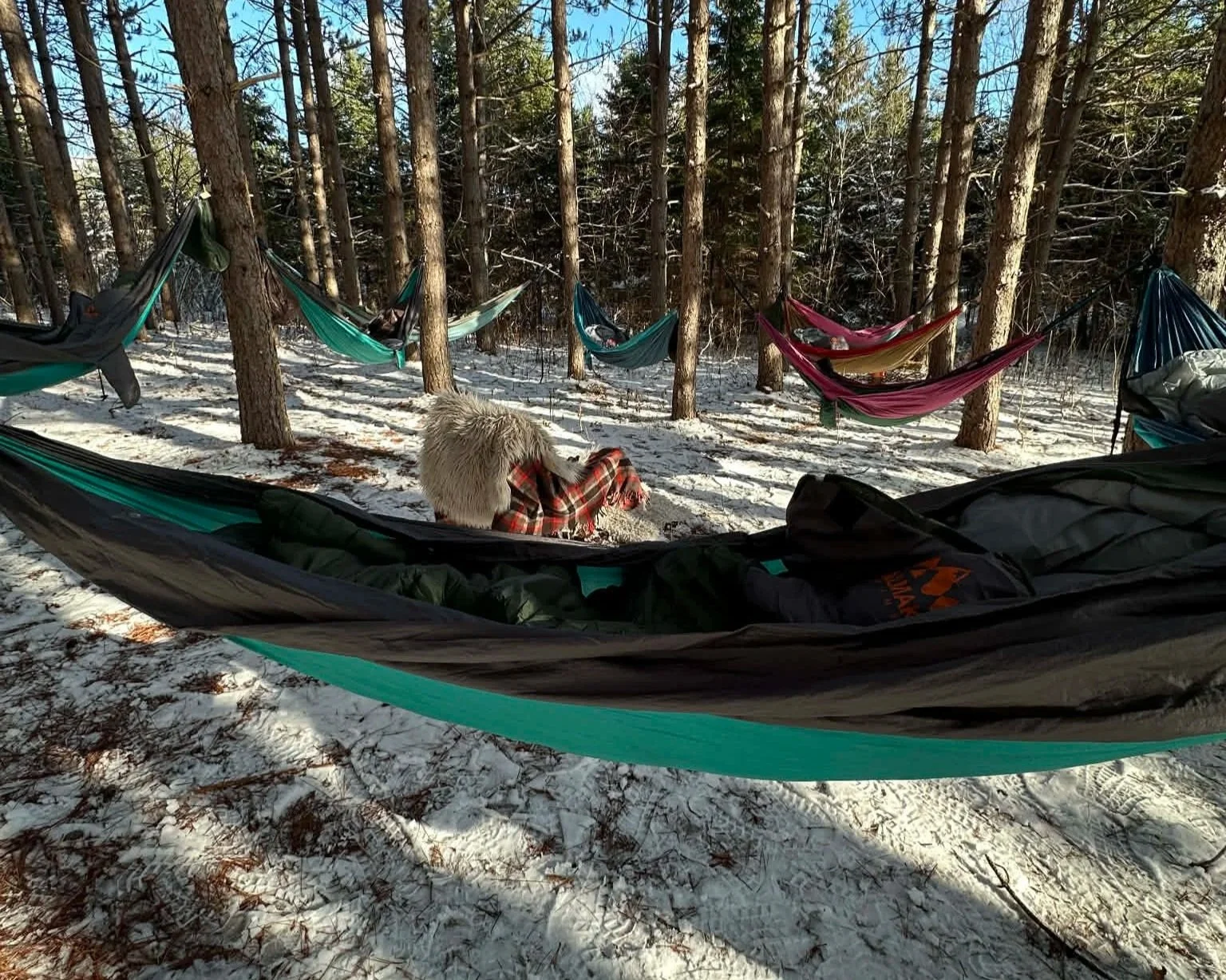 Healing+Hammocks-winter-enchantment-fireloch-karenperro.jpg