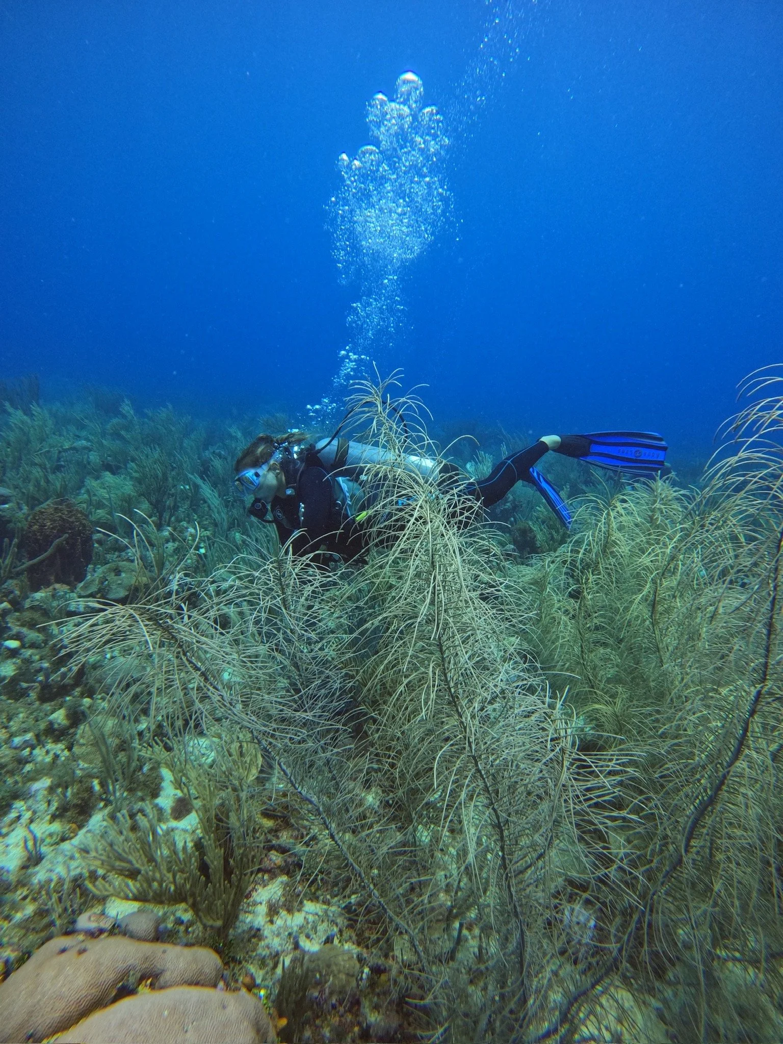 GPTempDownload 9.JPG