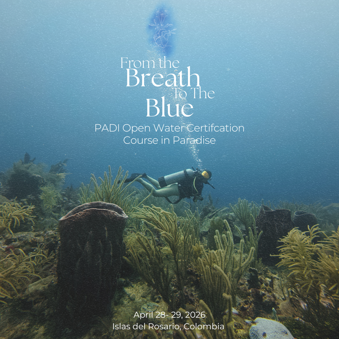 From the Breath to the Blue