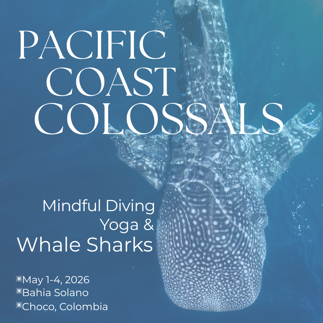 Colosos dive trip (Instagram Post) copy.png