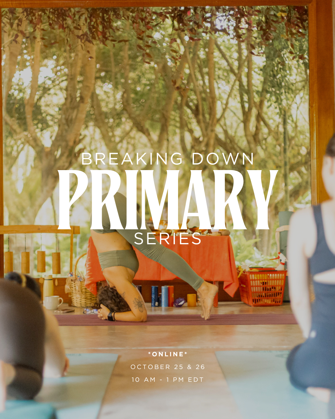 Breaking Down Primary Series