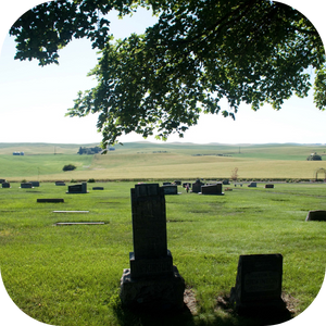 A rural cemetery with several gravestones scattered across a grassy field. A large tree with overhanging branches provides shade in the foreground. Rolling hills and open countryside can be seen in the background under a clear sky.