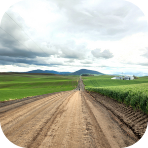 Rural dirt road surrounded by green fields with mountains in the background under a cloudy sky.