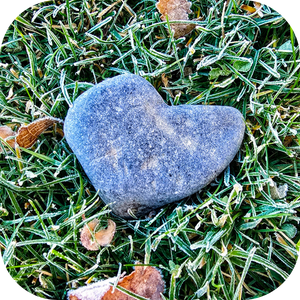 Heart-shaped rock on frosty grass with scattered leaves