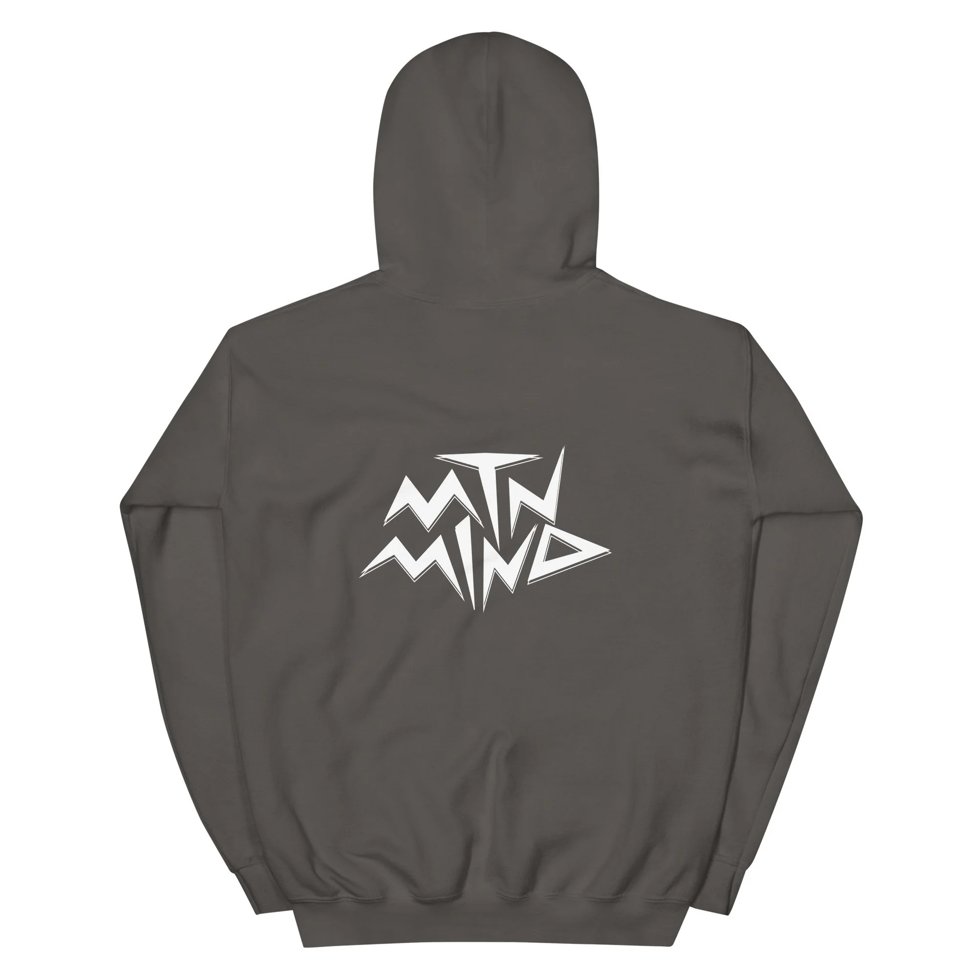 unisex-heavy-blend-hoodie-charcoal-back-68c57811036dd.jpg