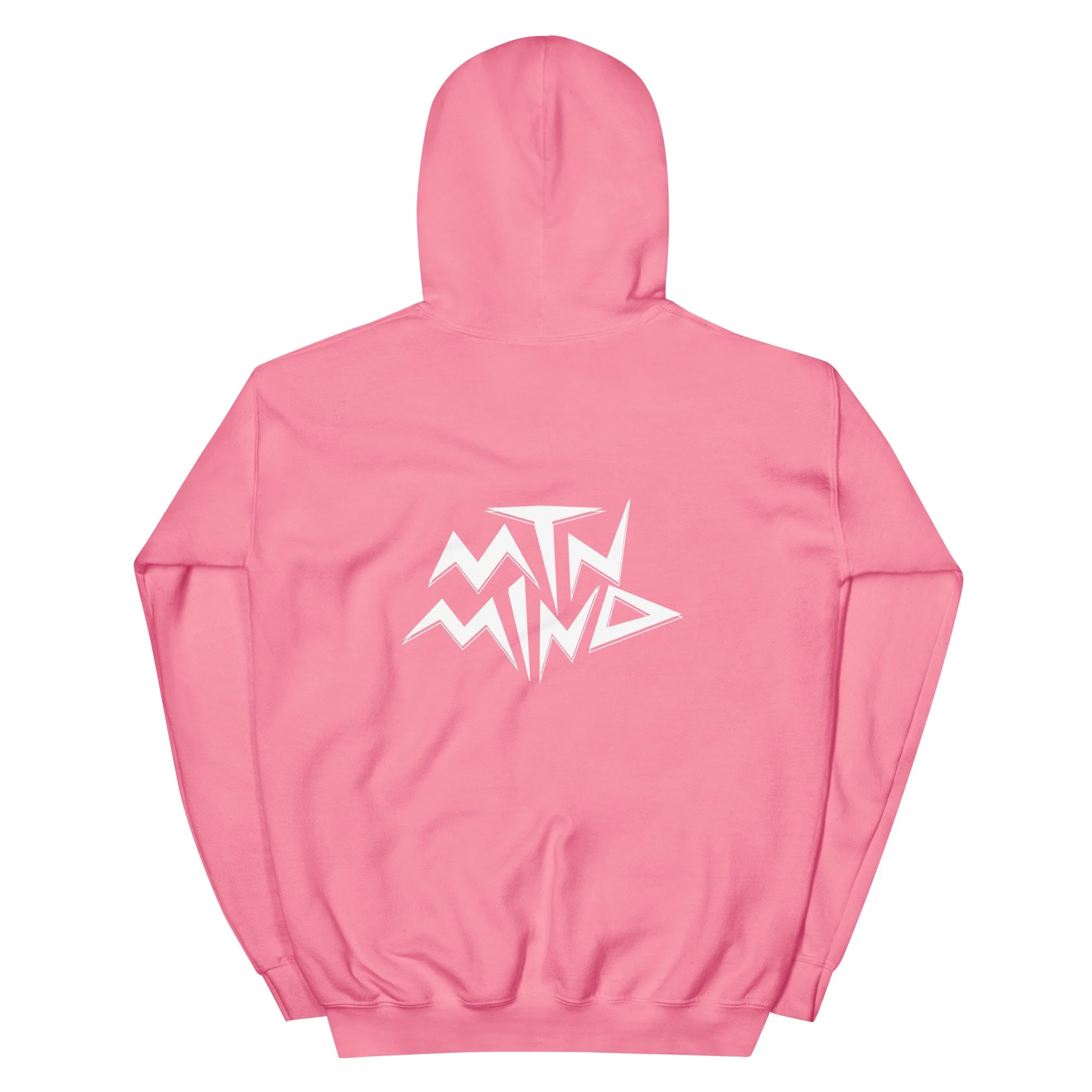 unisex-heavy-blend-hoodie-azalea-back-68c5781131614.jpg
