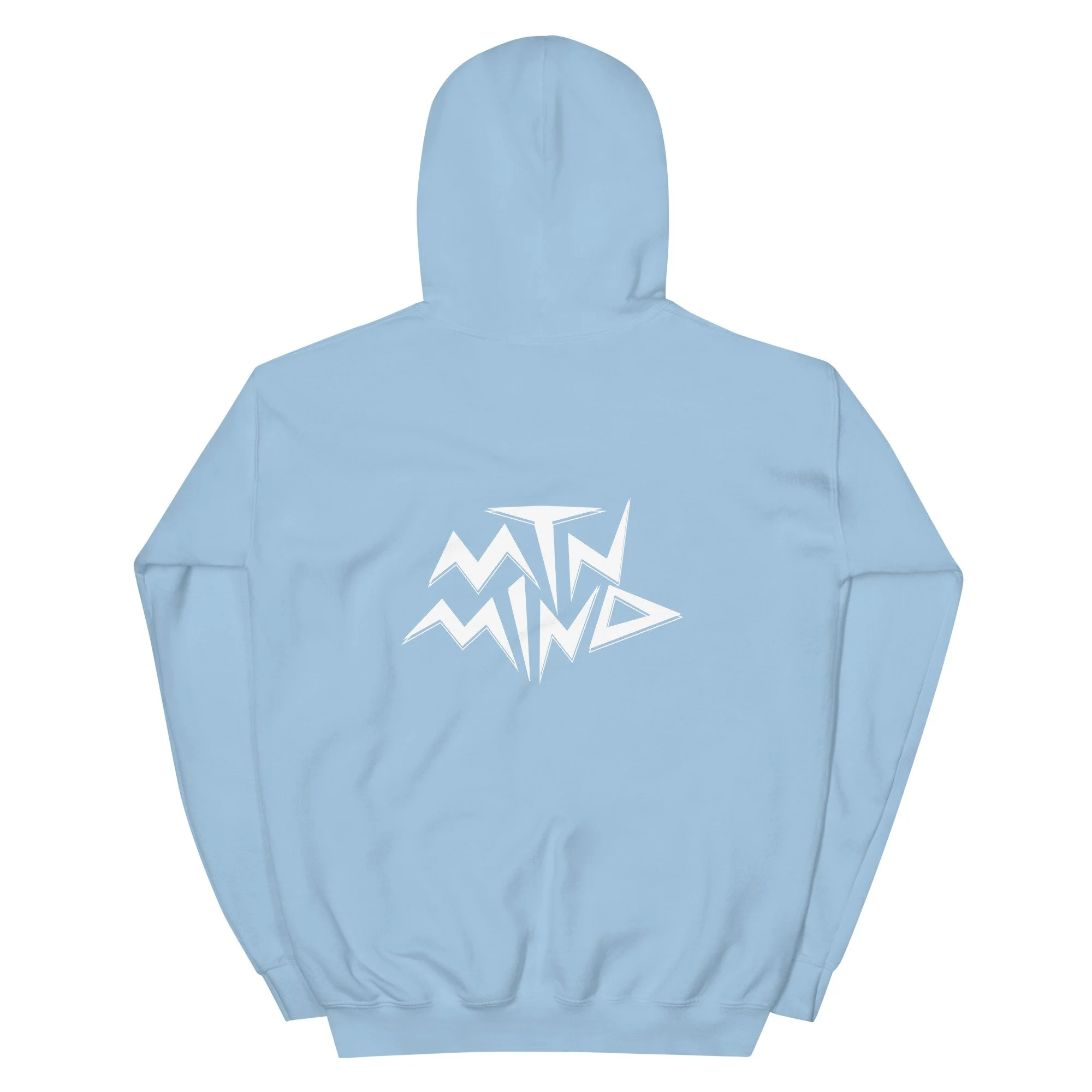 unisex-heavy-blend-hoodie-light-blue-back-68c5781144863.jpg
