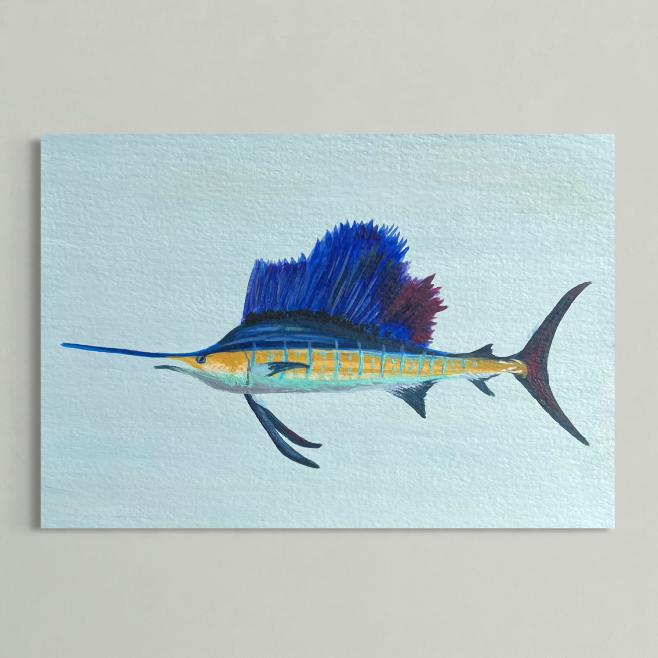 Sailfish 11x14"