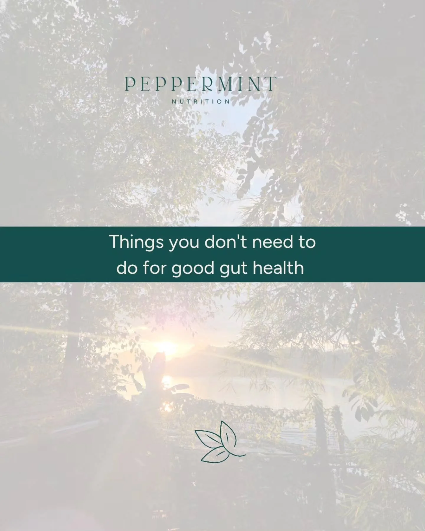 You don&rsquo;t need to cut out whole food groups.
You don&rsquo;t need to eat perfectly.
And you definitely don&rsquo;t need to take random supplements &ldquo;just in case.&rdquo;

Real gut health comes from understanding why your gut is reacting, n