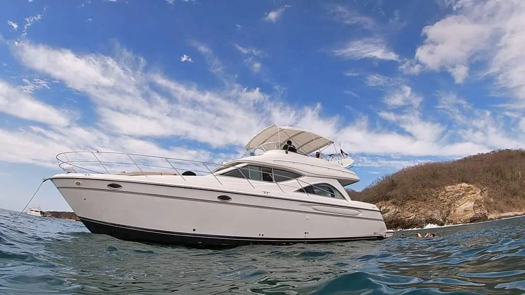 DREAM CATCHER3690547497.jpg