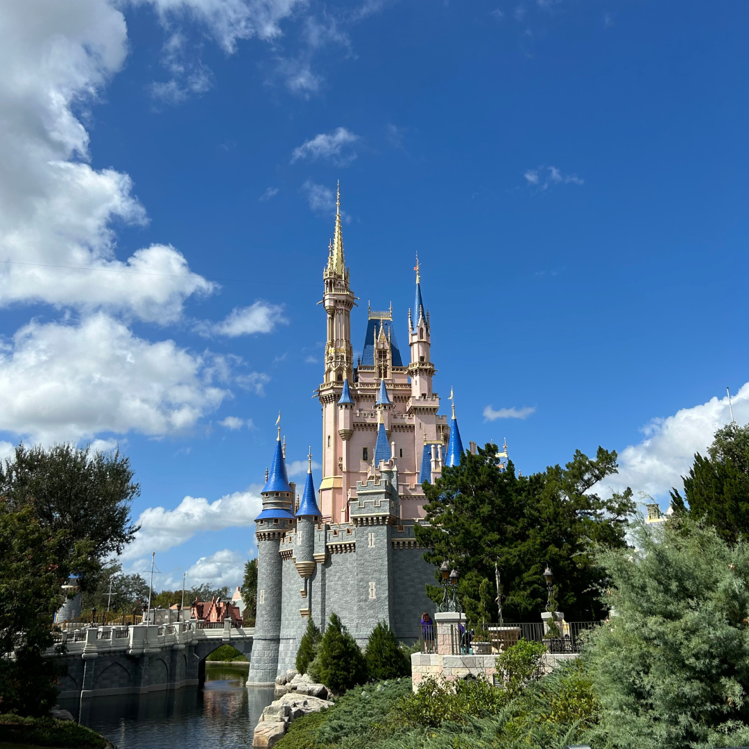 WDW Castle.png