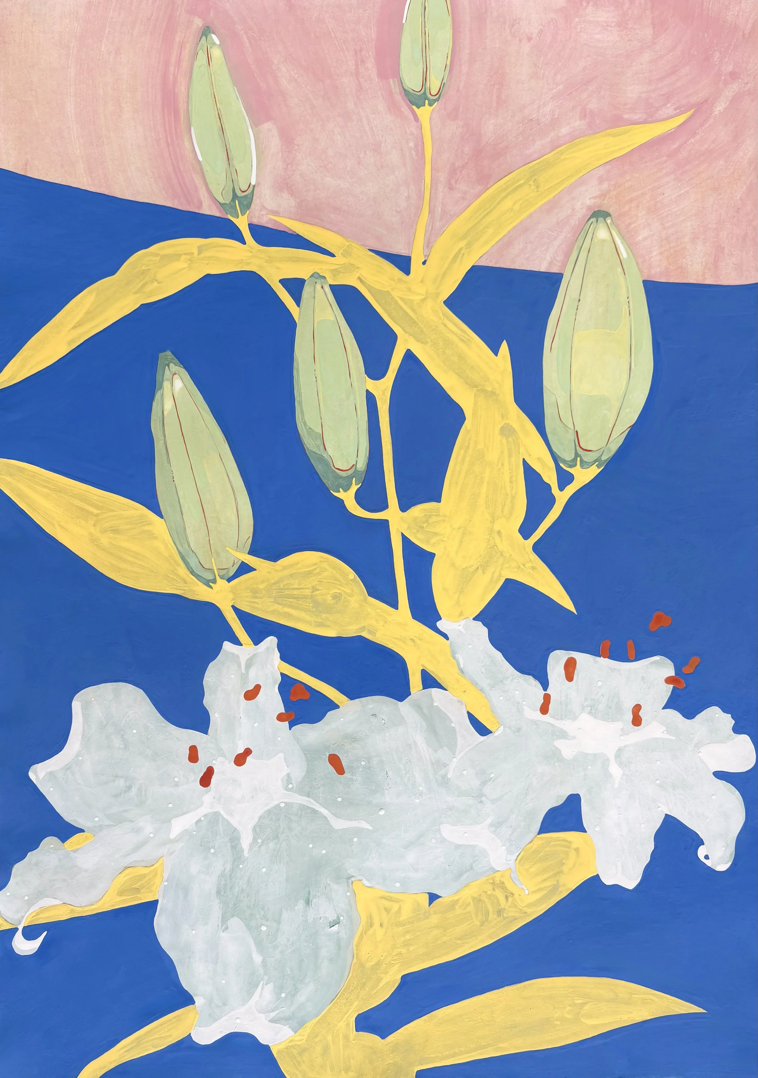 Lillies study, 2026, iwa-enogu on washi, 29 x 21 inches