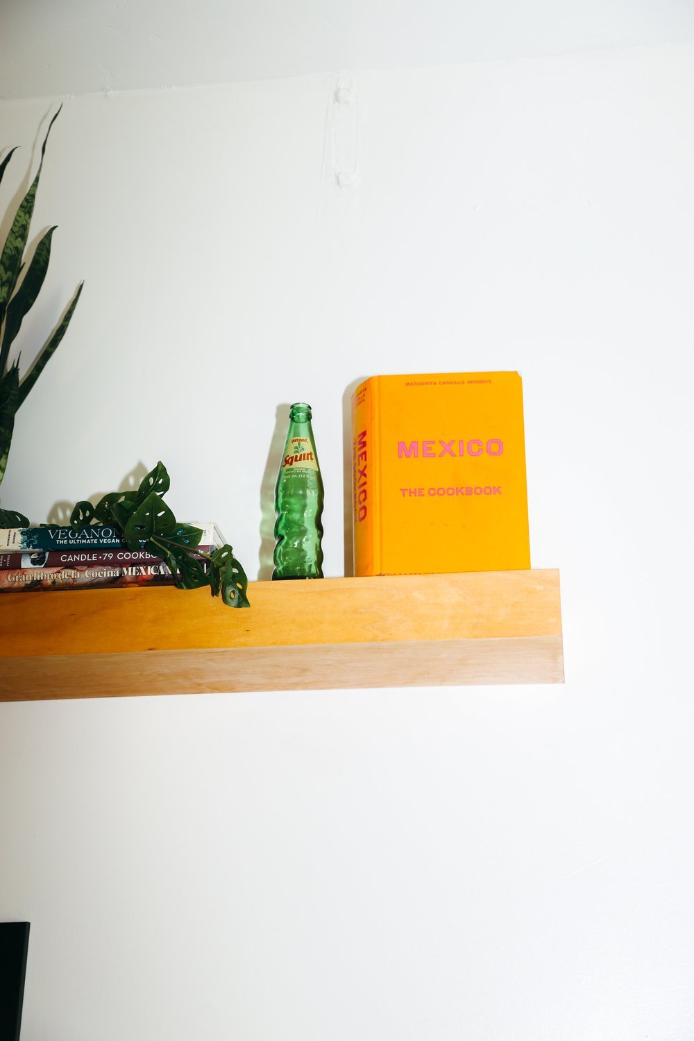 shelf with mexico book.jpg