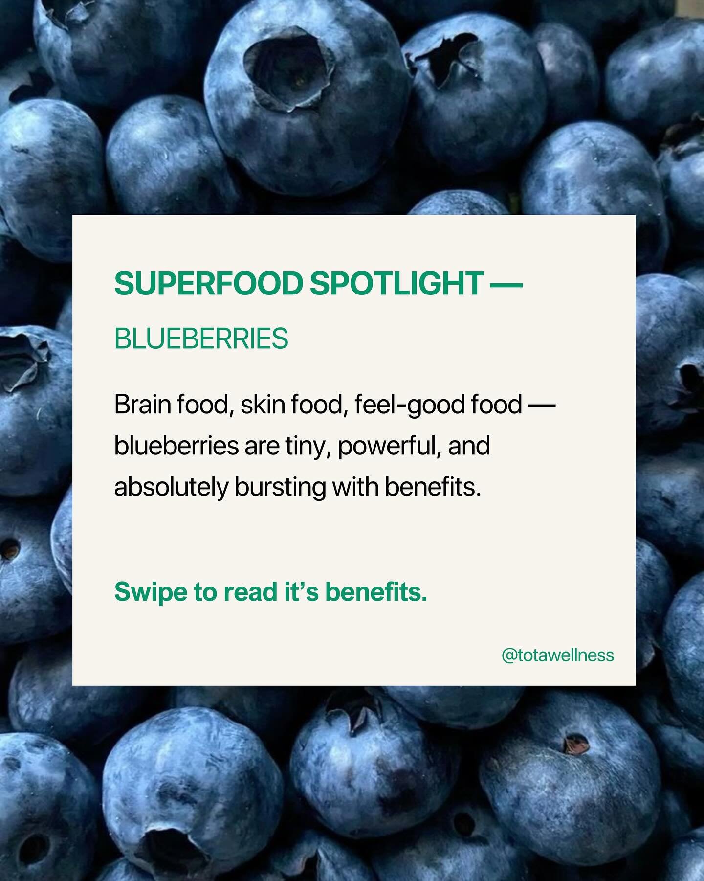 SUPERFOOD SPOTLIGHT &mdash; BLUEBERRIES 

AKA - brain fuel. There&rsquo;s a reason they&rsquo;re such a popular superfood.

Rich in anthocyanins (that deep blue-purple pigment), blueberries have been shown to support memory, focus, and long-term cogn