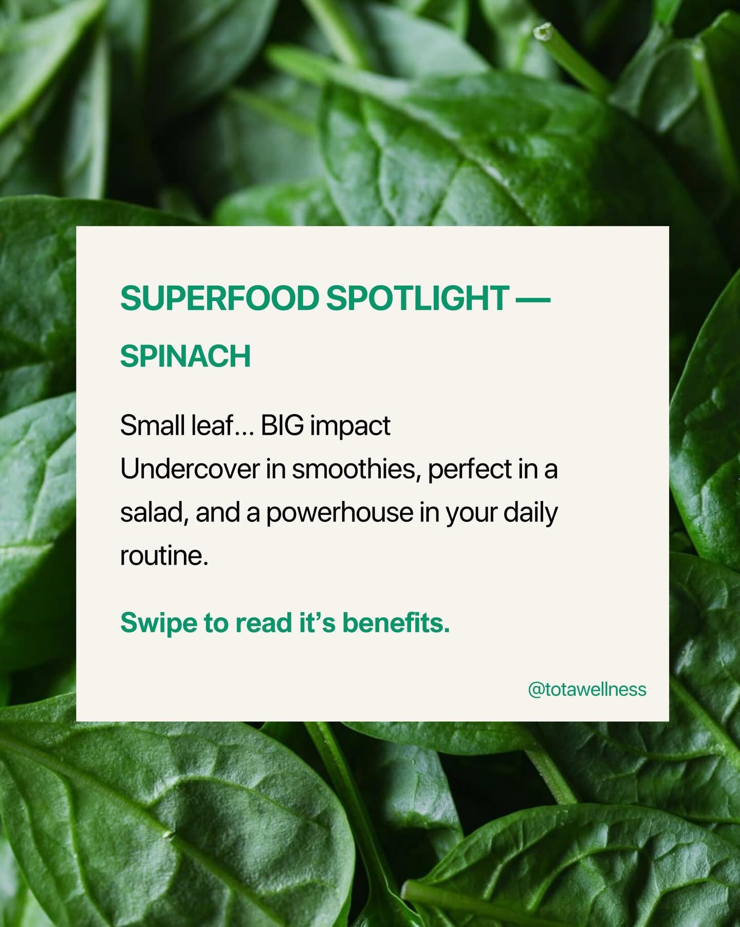 SUPERFOOD SPOTLIGHT &mdash; SPINACH

Consistently in my smoothies or my omelettes&hellip; and there&rsquo;s a reason why.
This lightly flavoured leafy green is incredibly nutrient-dense, easy to digest, and so simple to incorporate into any of your m