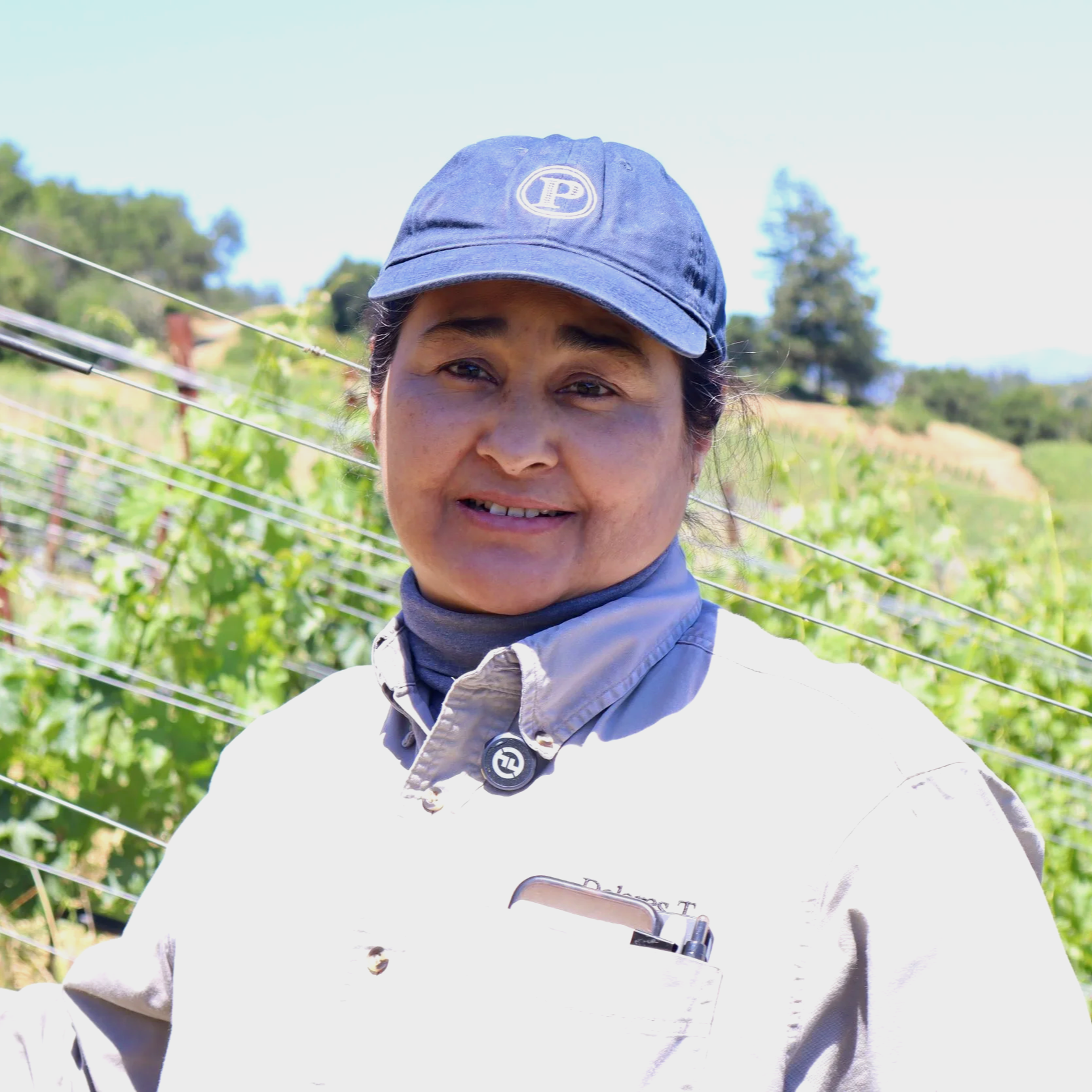 Napa Valley Farmworker Foundation Vineyard Champions