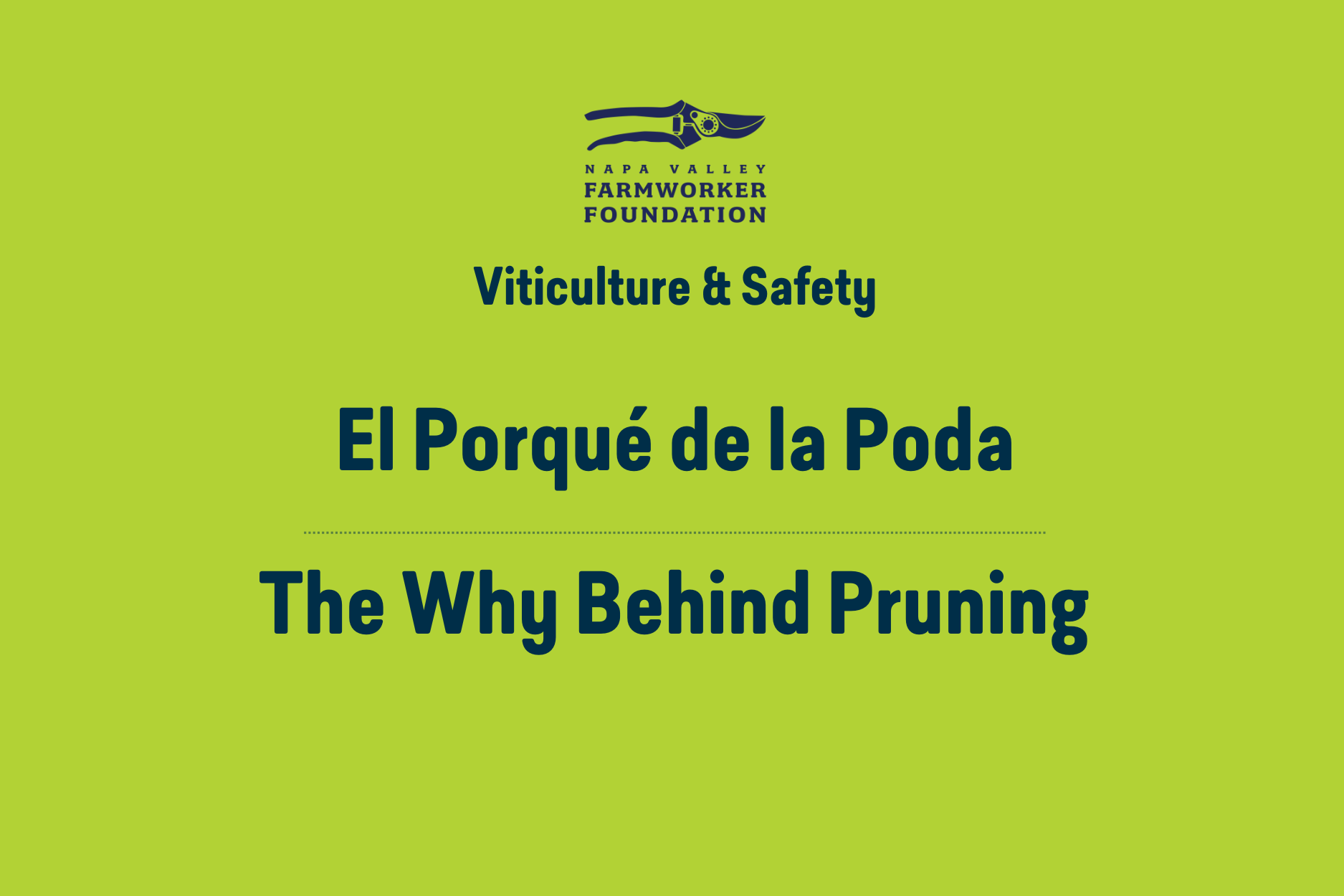The Why Behind Pruning
