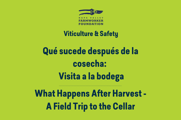 What Happens After Harvest