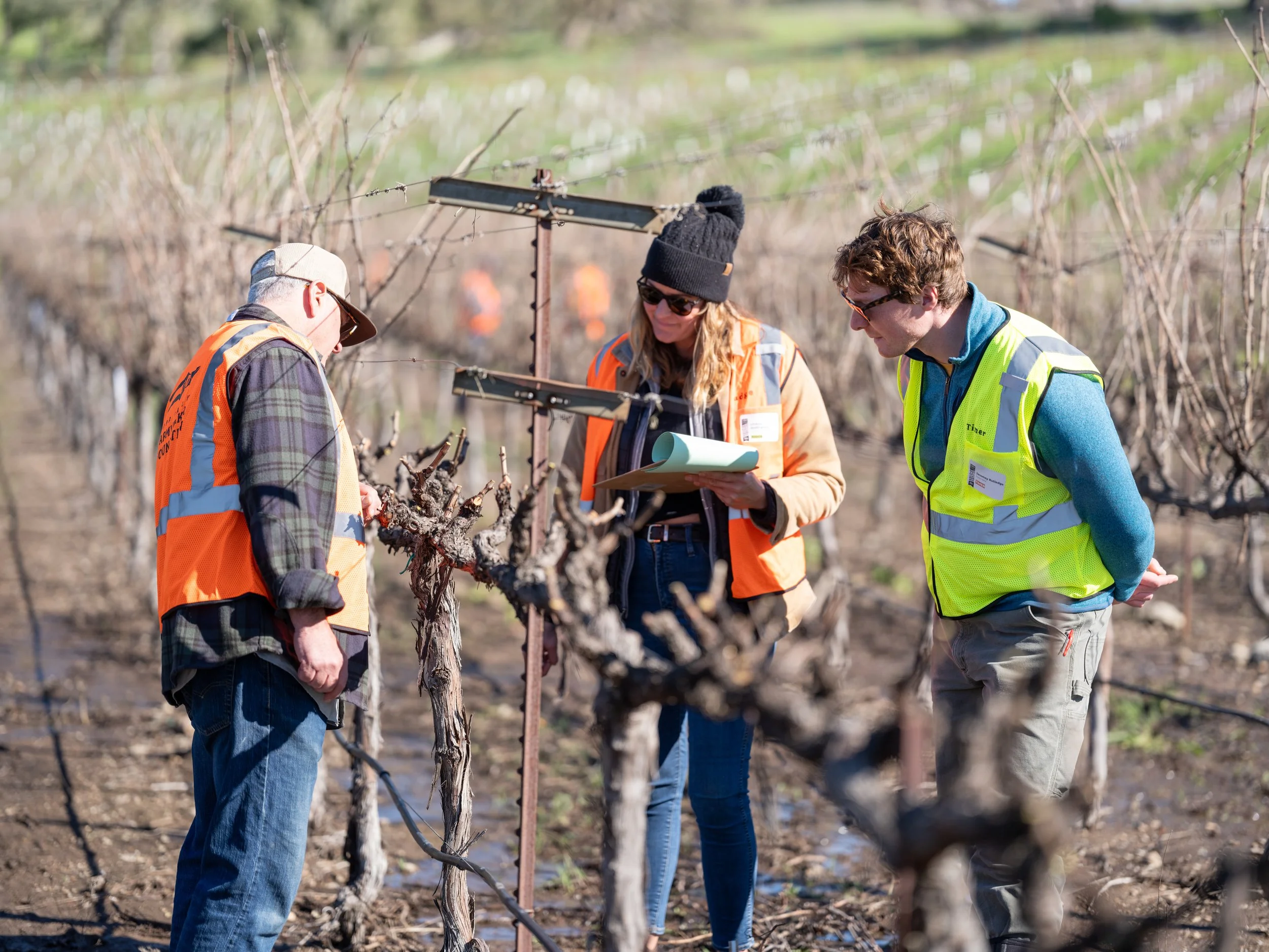 2025 Pruning Contest Judging Team.jpg