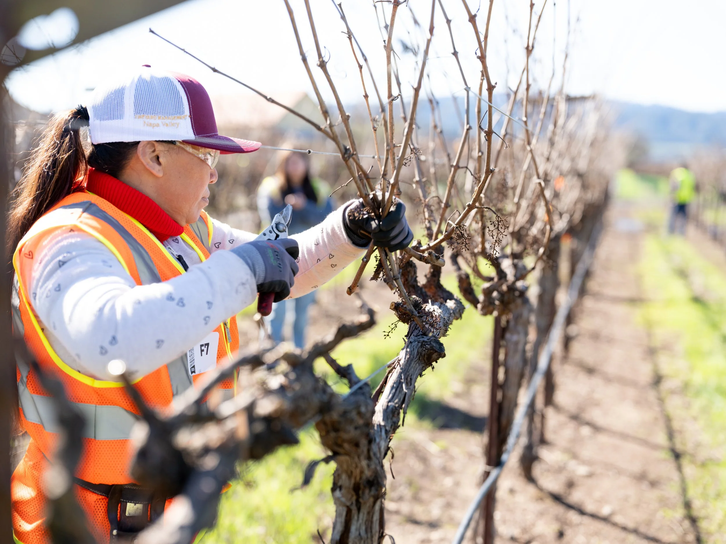 2025 Pruning Contest Contestant.jpg