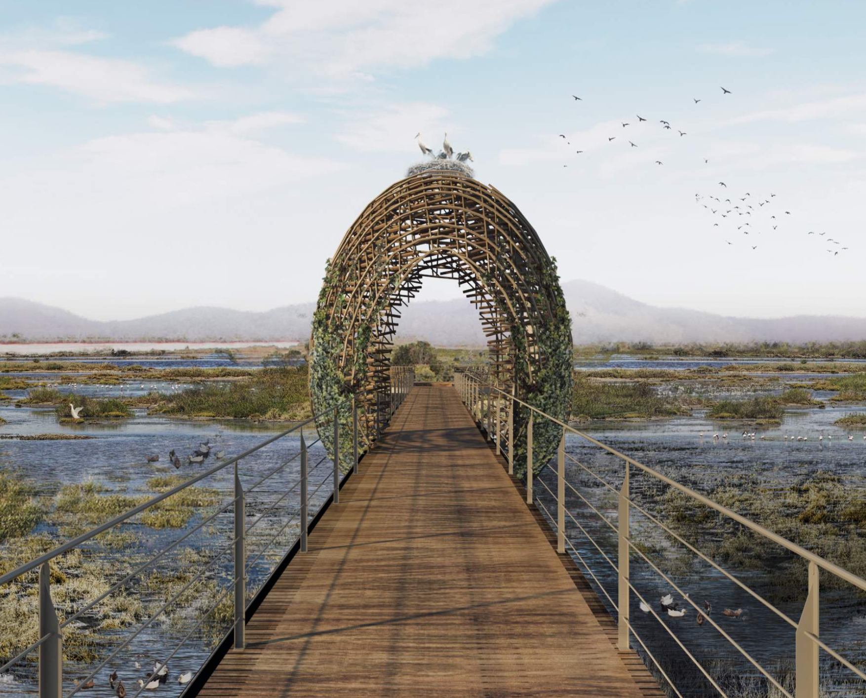 Sendero Elevado Humedal