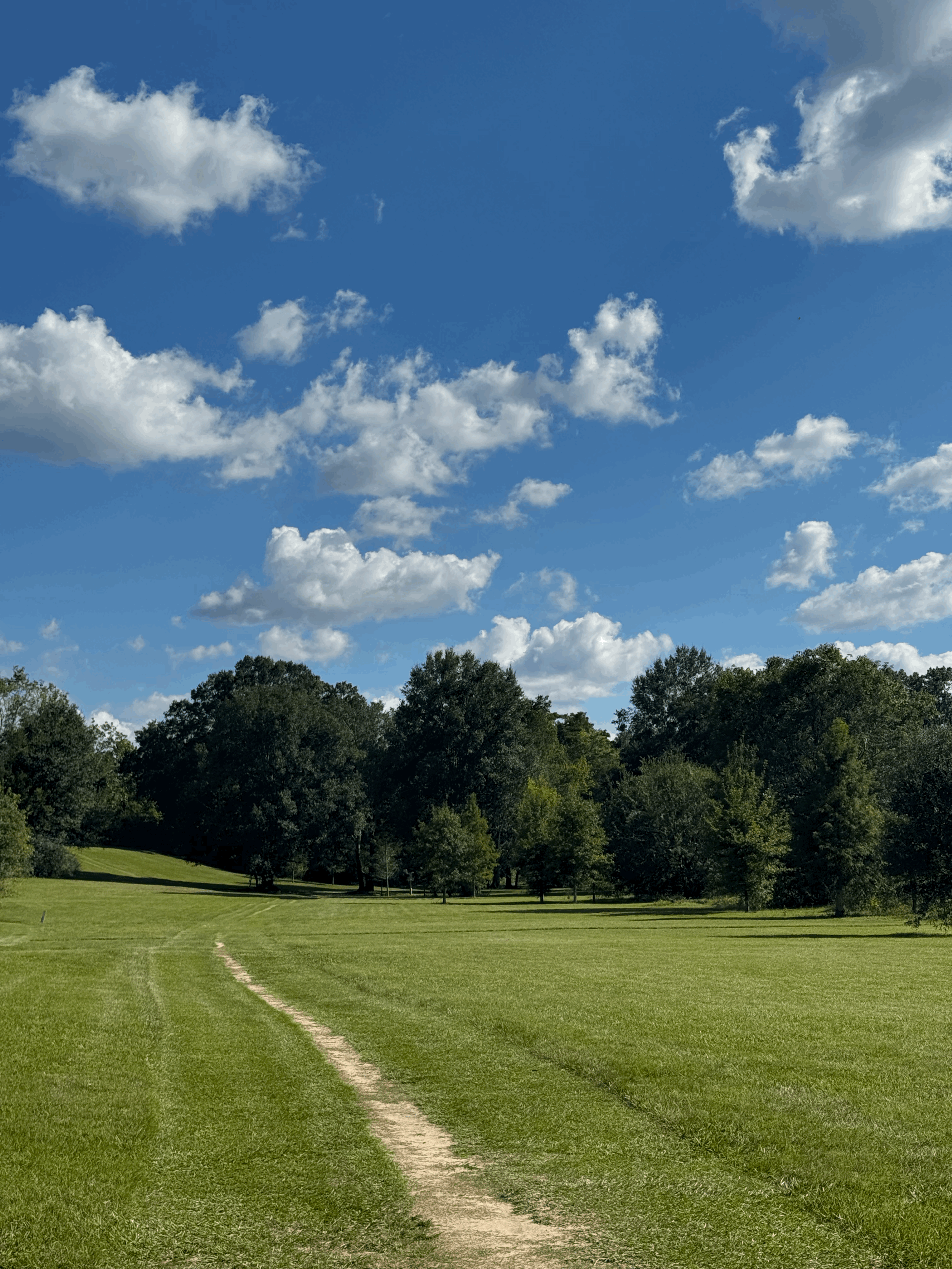 Best Locations for Family Photos in Baton Rouge