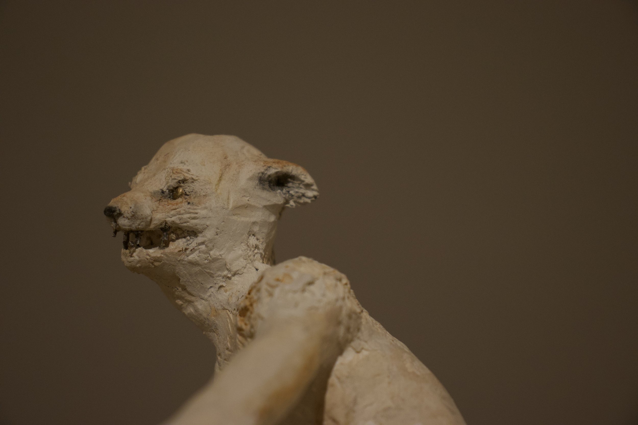 "The Fox" (2025) materials: aluminum wire, discarded plastic bags, yarn, cotton gauze, plaster, paper clay, mixed metals, pastels