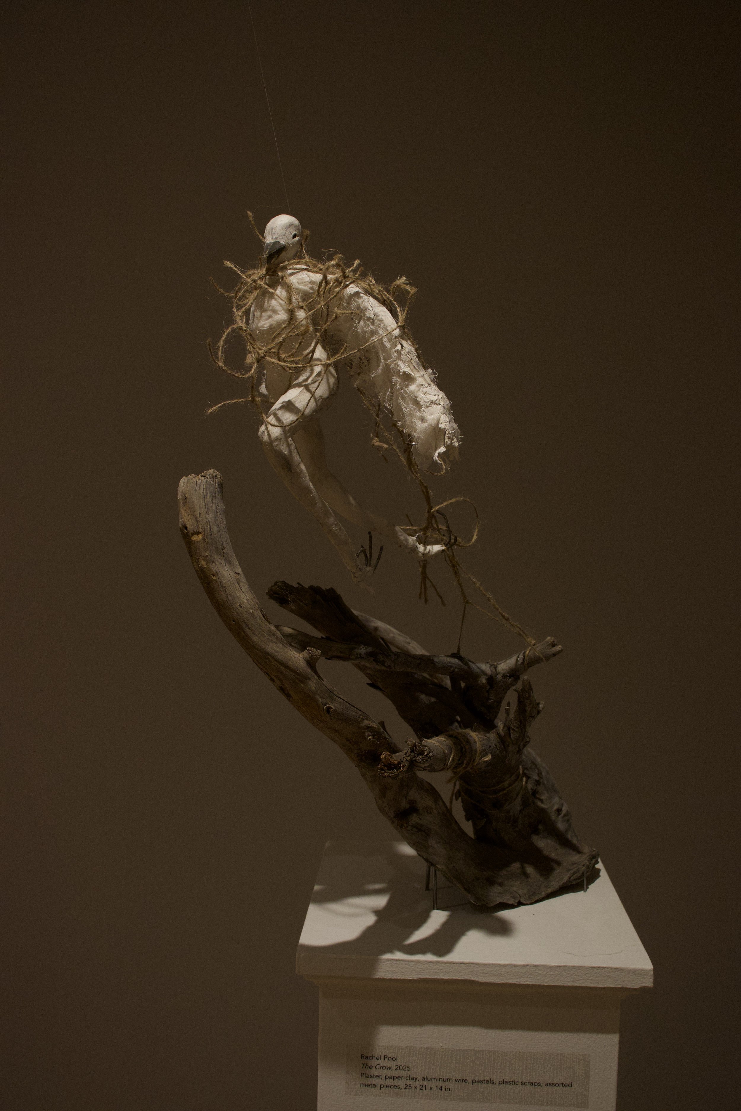 "The Crow" (2025) materials: aluminum wire, discarded plastic bags, yarn, cotton gauze, plaster, paper clay, mixed metals, charcoal