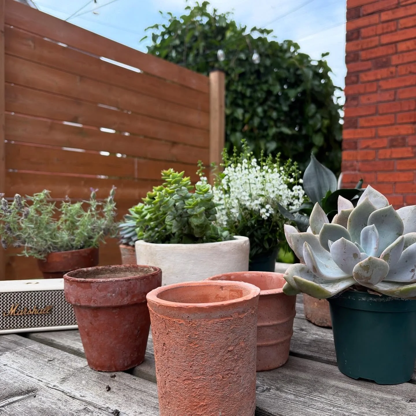 July Moments&hellip;

We balanced edesign projects and sourcing with time spent at the lake, celebrating friends, and enjoying a little summer sun. We welcomed in long-awaited pieces for some project spaces (always a good feeling!) and hit pause on o