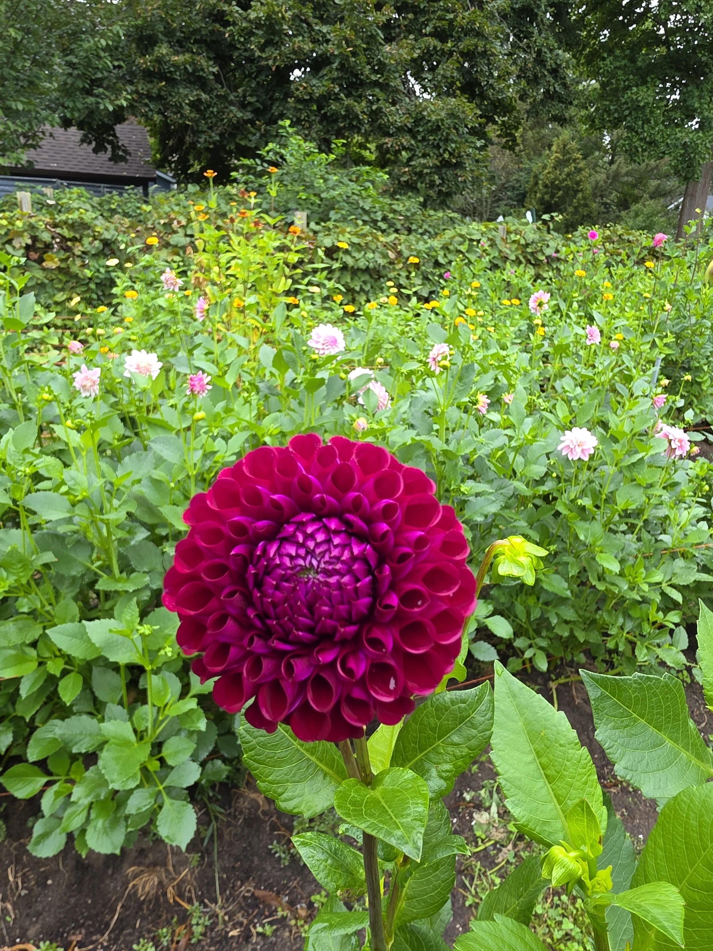 20260916_092640.jpg