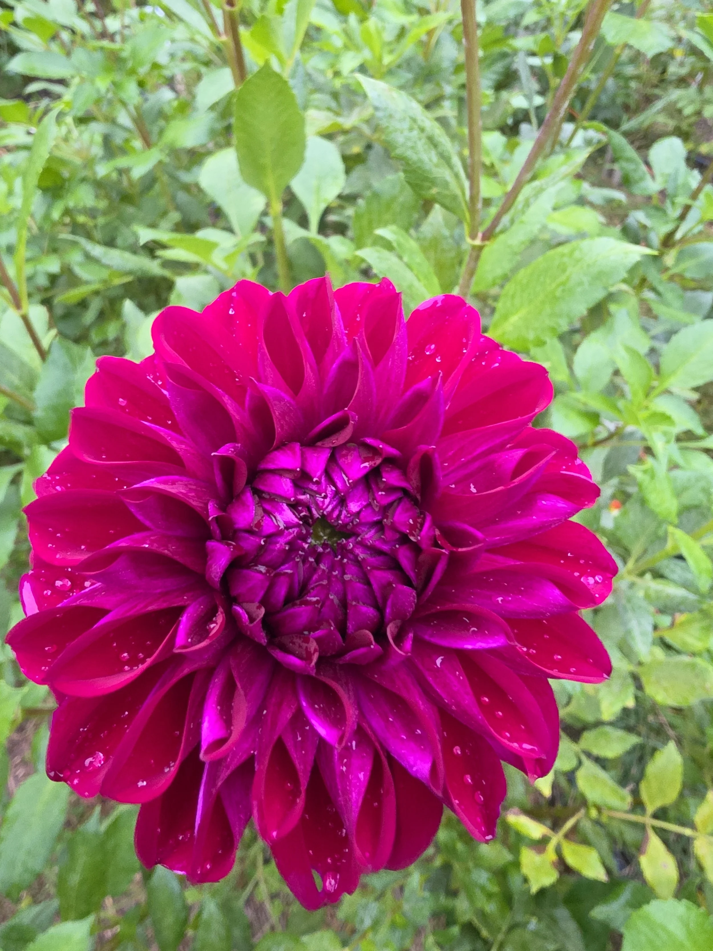 20260930_075107.jpg