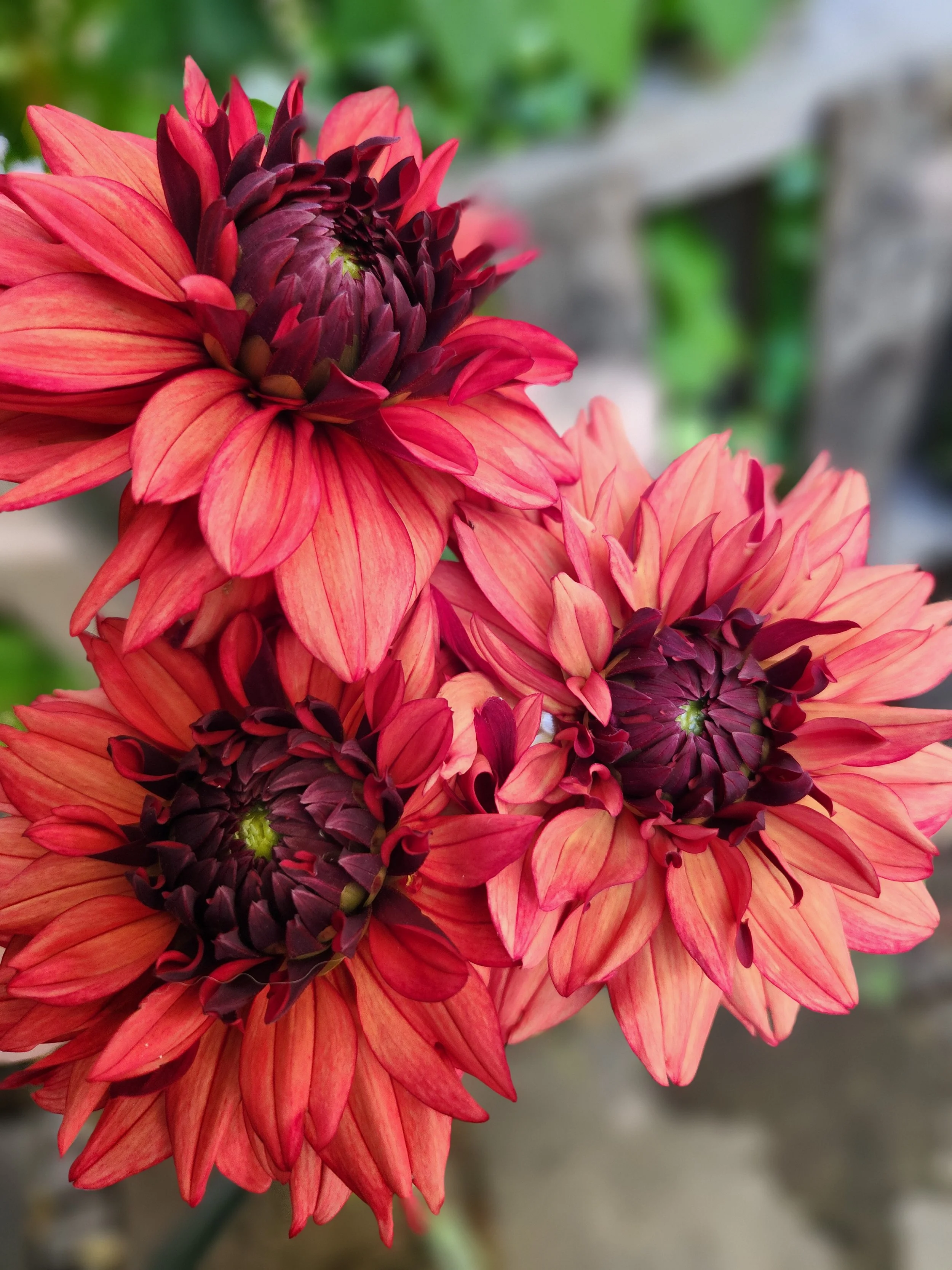 20250915_161841 (1).jpg