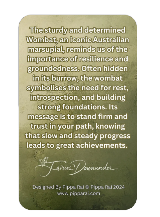 The Fairy & The Wombat mastercard back.png