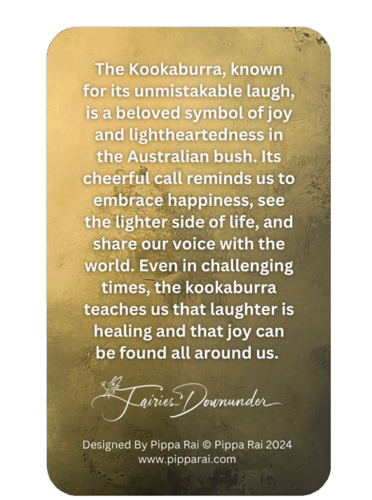 The Fairy & The Kookaburra Mastercard back.png