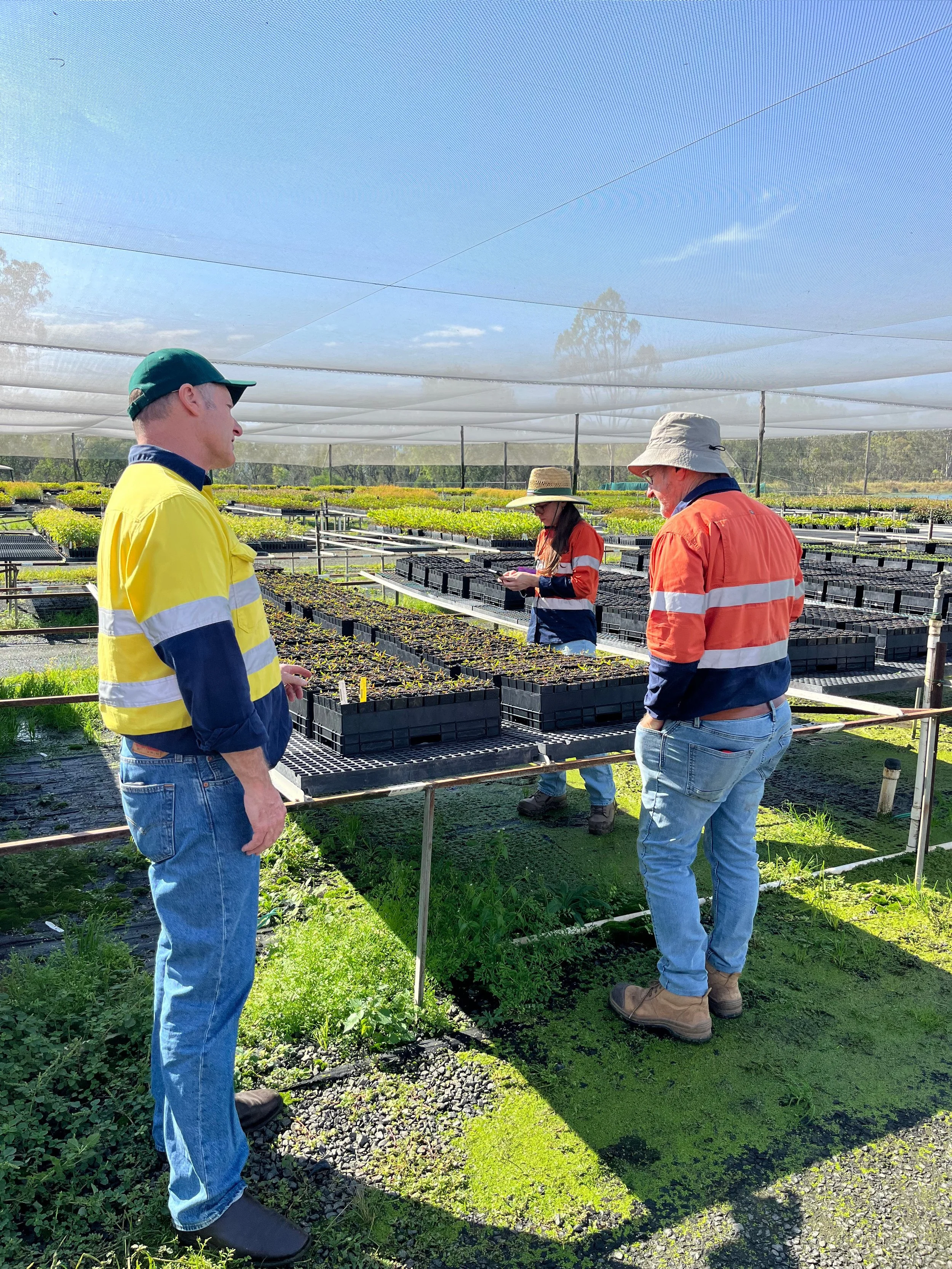 Withcott Nursery Tour for Offset Plantings — Verterra Ecological ...