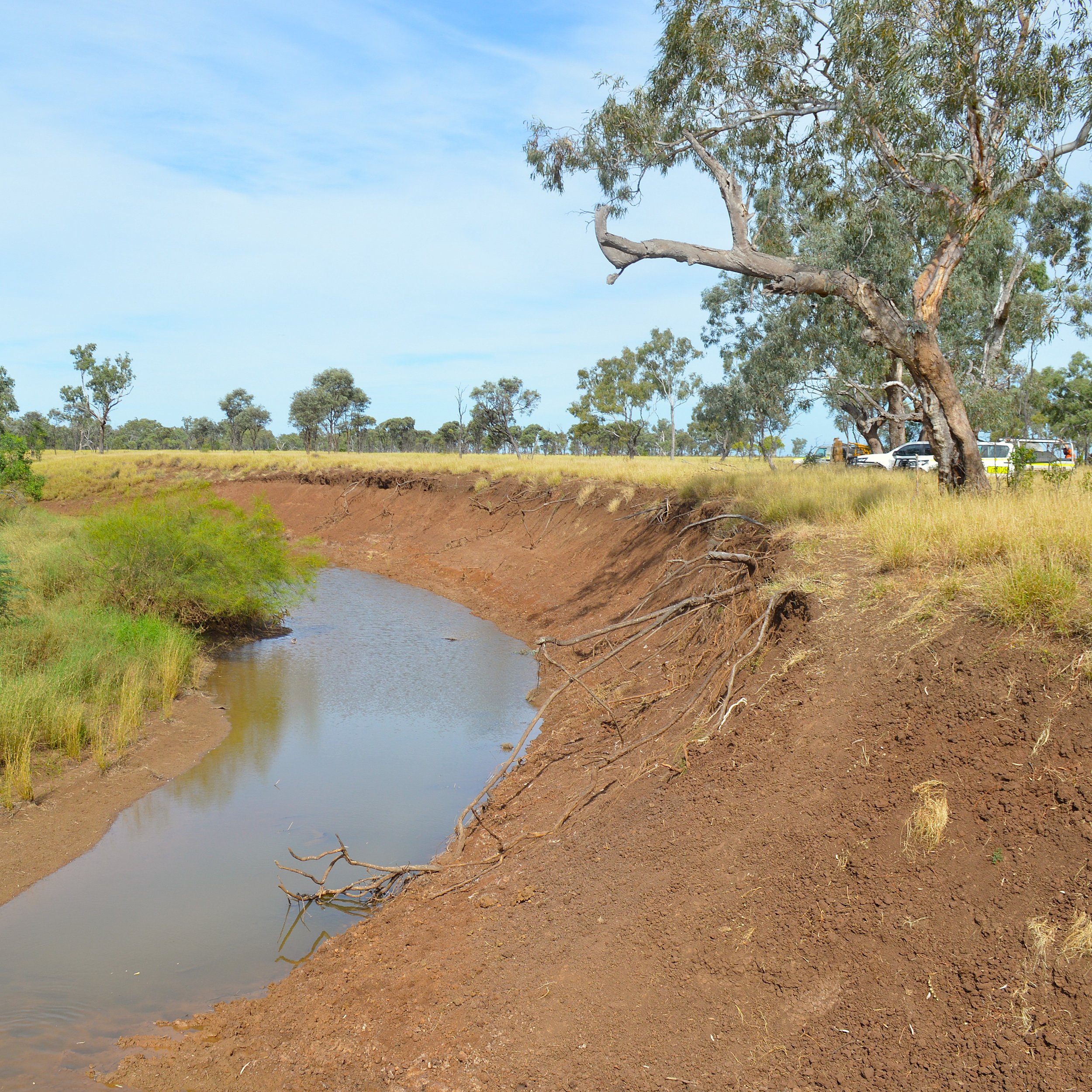 Site 6.JPG