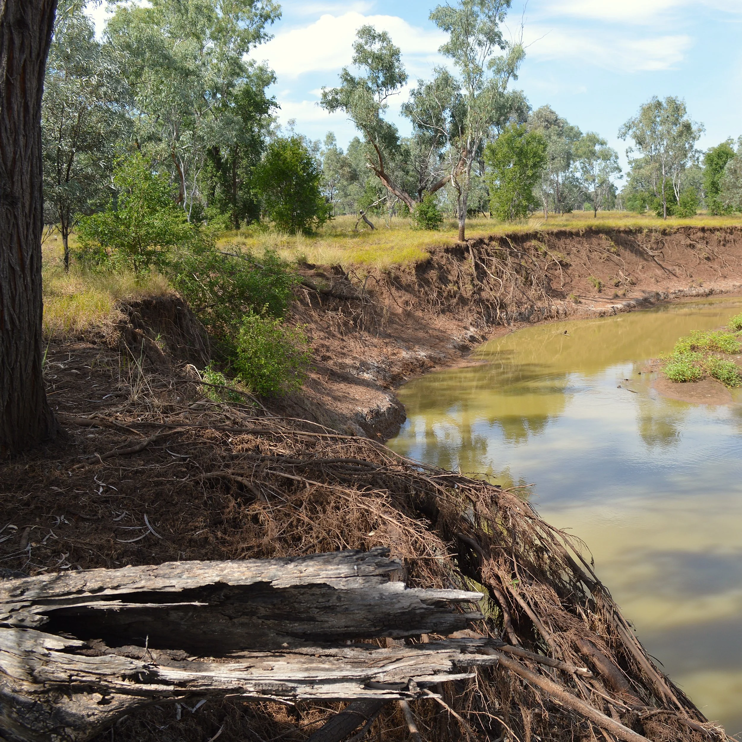 Site 8 Bank.JPG