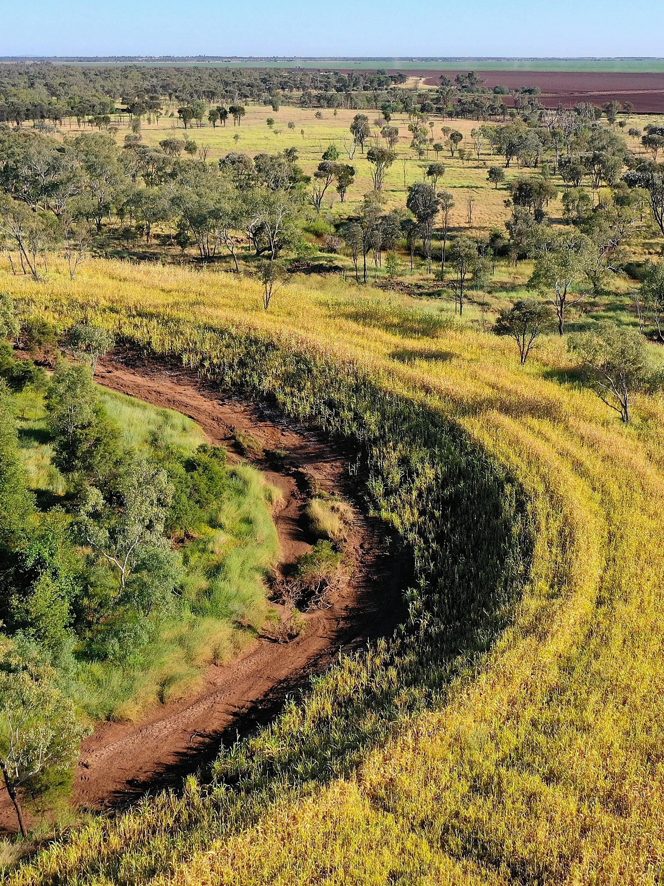 Logan Creek Streambank Rehabilitation
