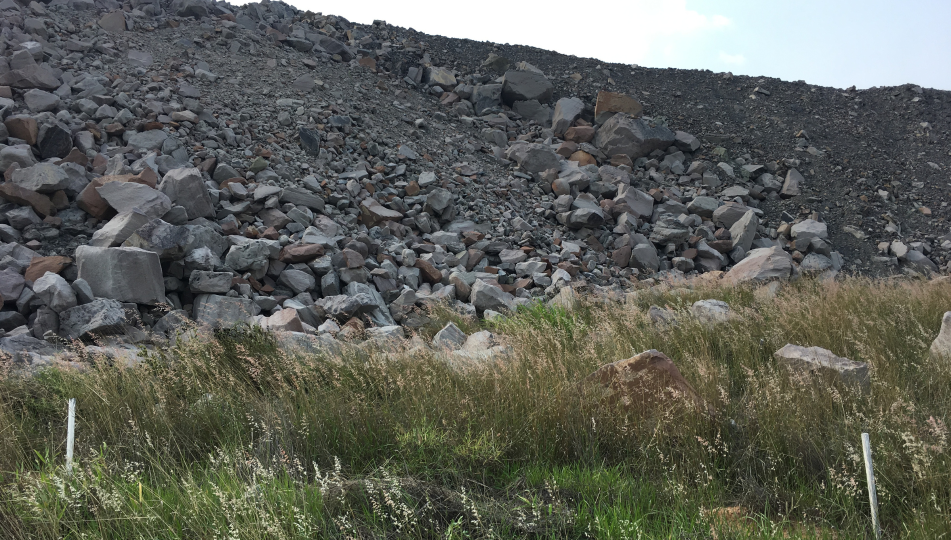 Integrating Soil Evidence and Revegetation Design for Mine Water Diversions