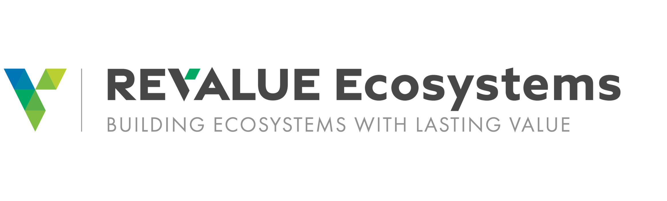 Revalue Ecosystems logo wih the tagline 'Building Ecosystems with Lasting Value'