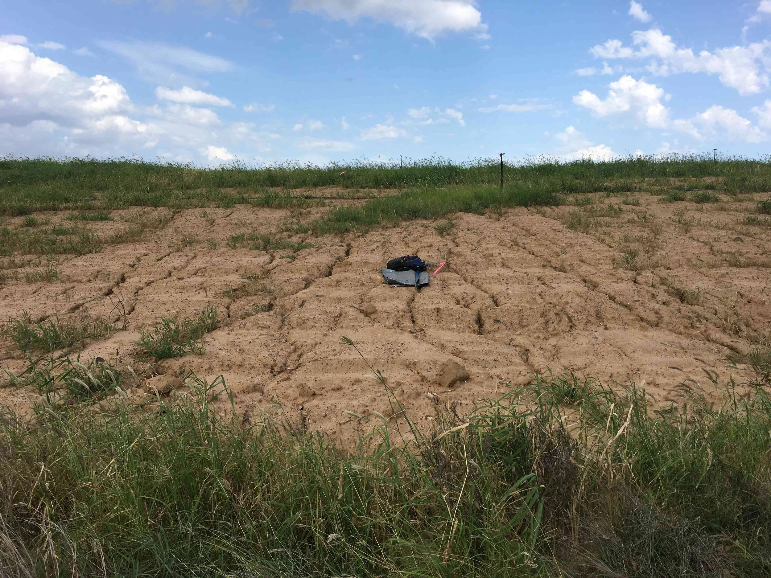 Monitoring Vegetation Respose to Subsidence-related Inundation