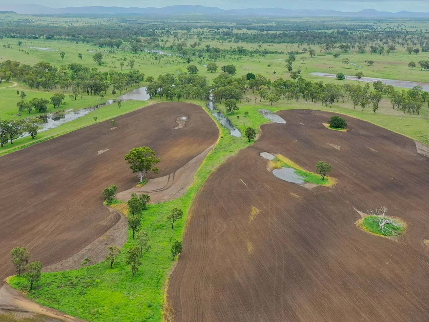 Exposed soils following soil amelioration