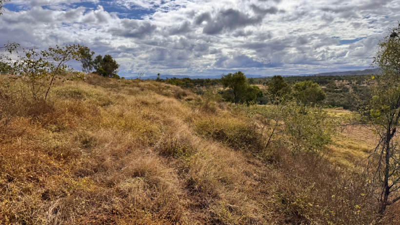 Establishing an Evidence-based Pathway to Regulatory Approved Closure of an Ash Dam