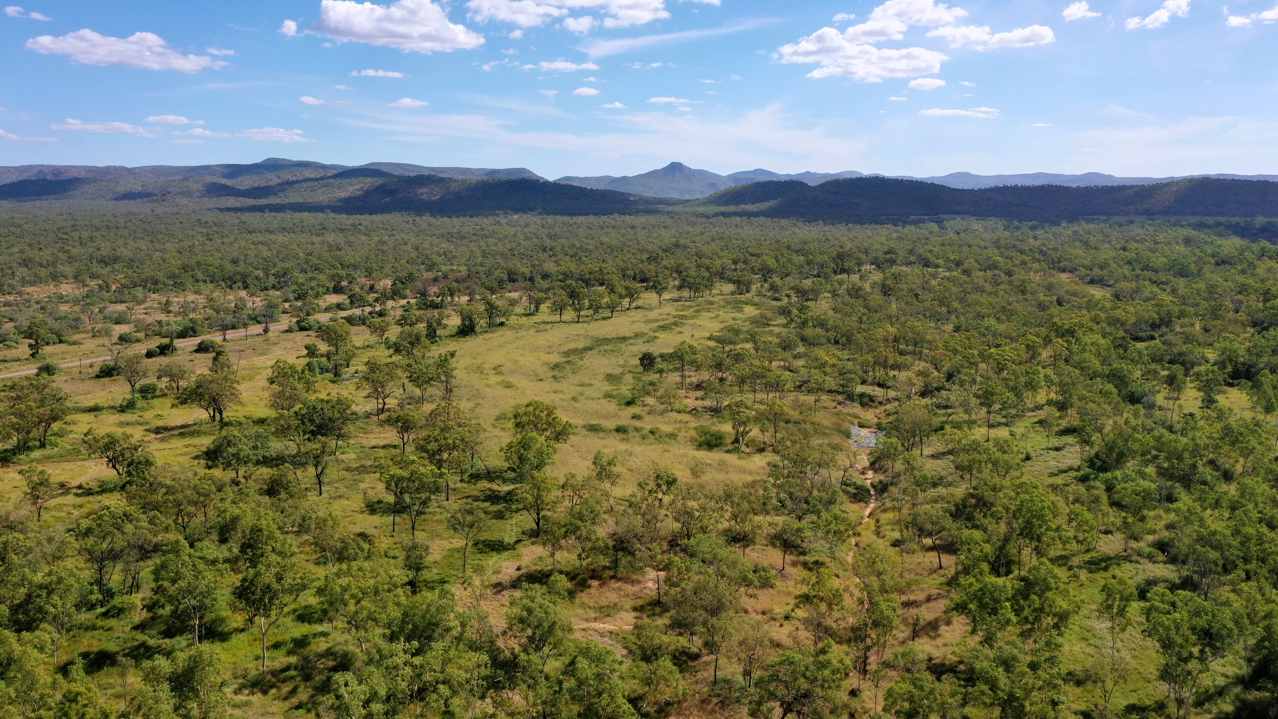 Gully Rehabilitation for Envomark Reef Credits