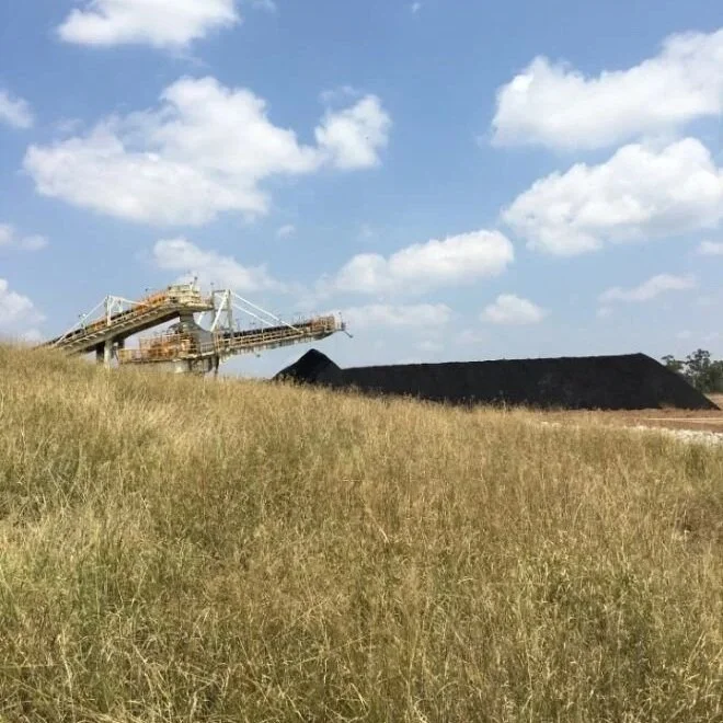 Mine spoil pile with shrubs and purple flowers in the foreground