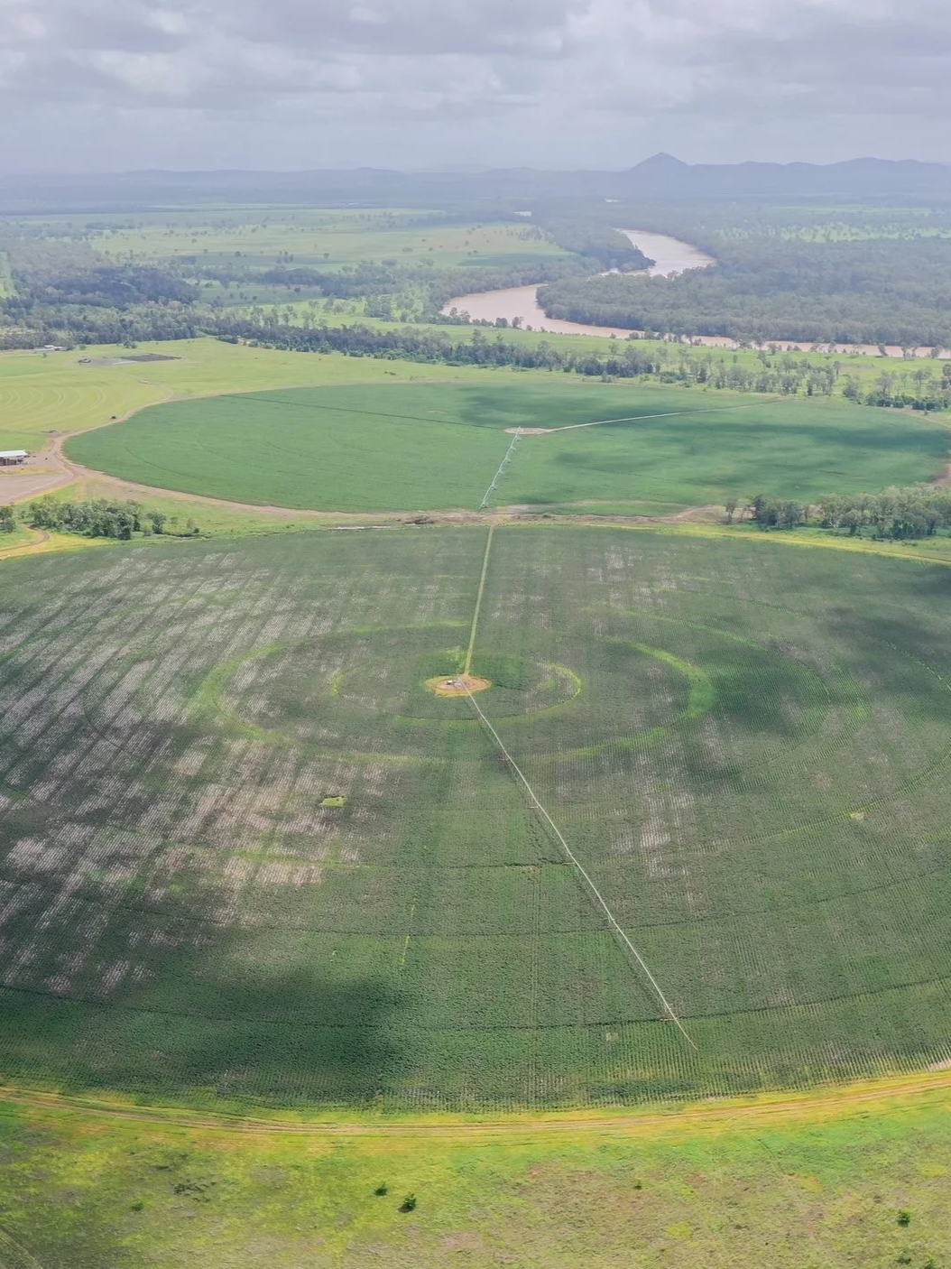Aerial view of irrigated farmland with circular and rectangular crop patterns, and a river in the background.