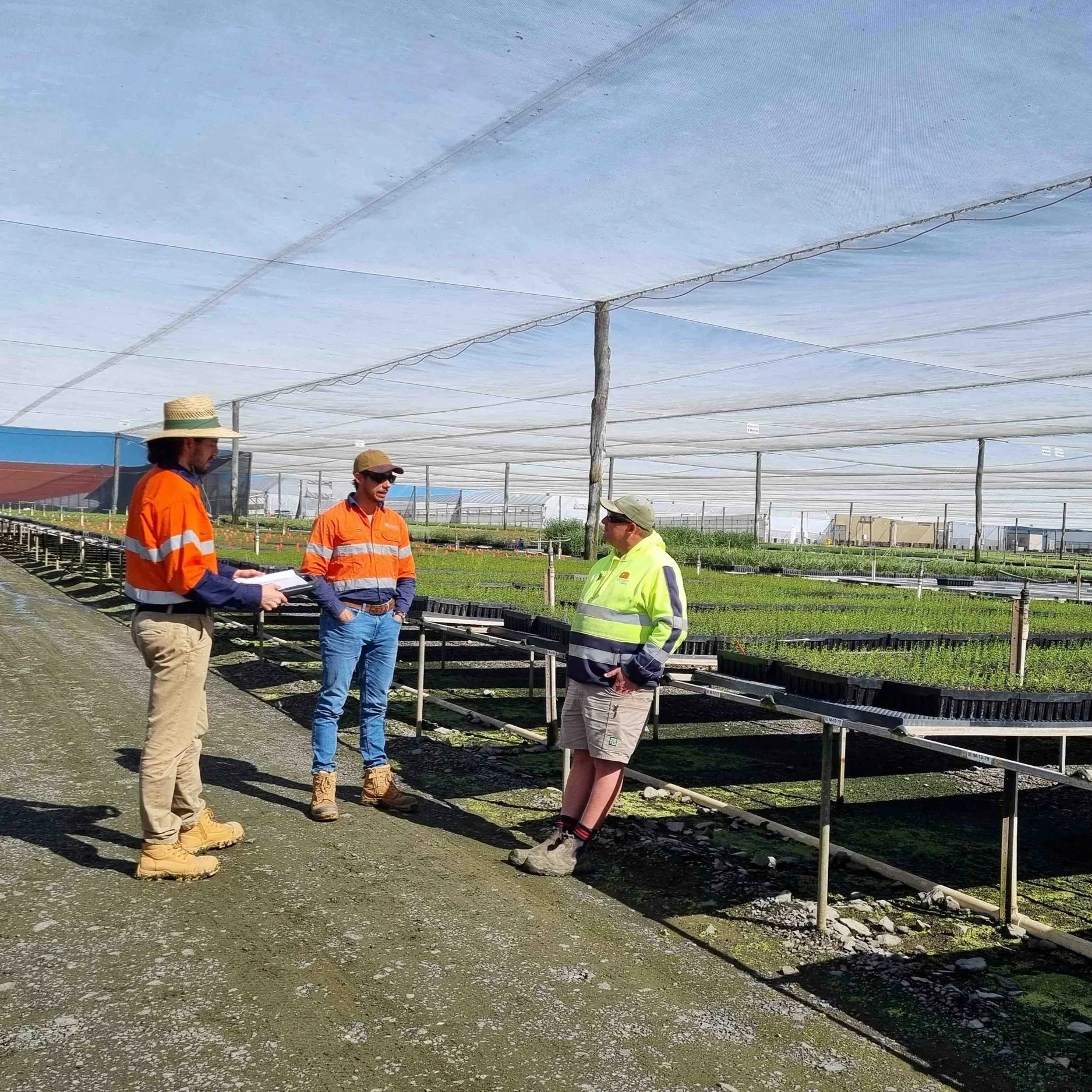 A group of three people having a discussion in a forestry nursery