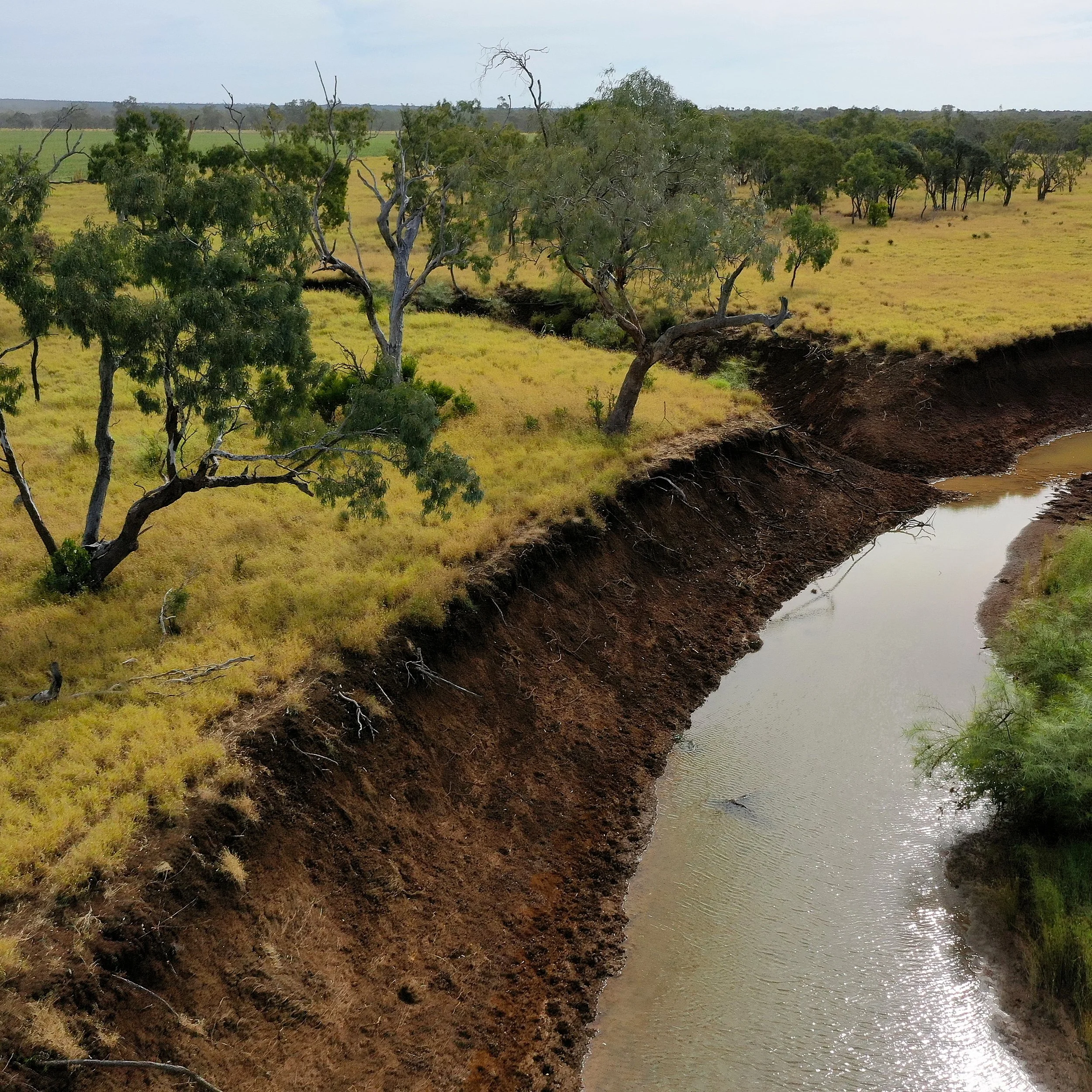 Image of eroded streambank