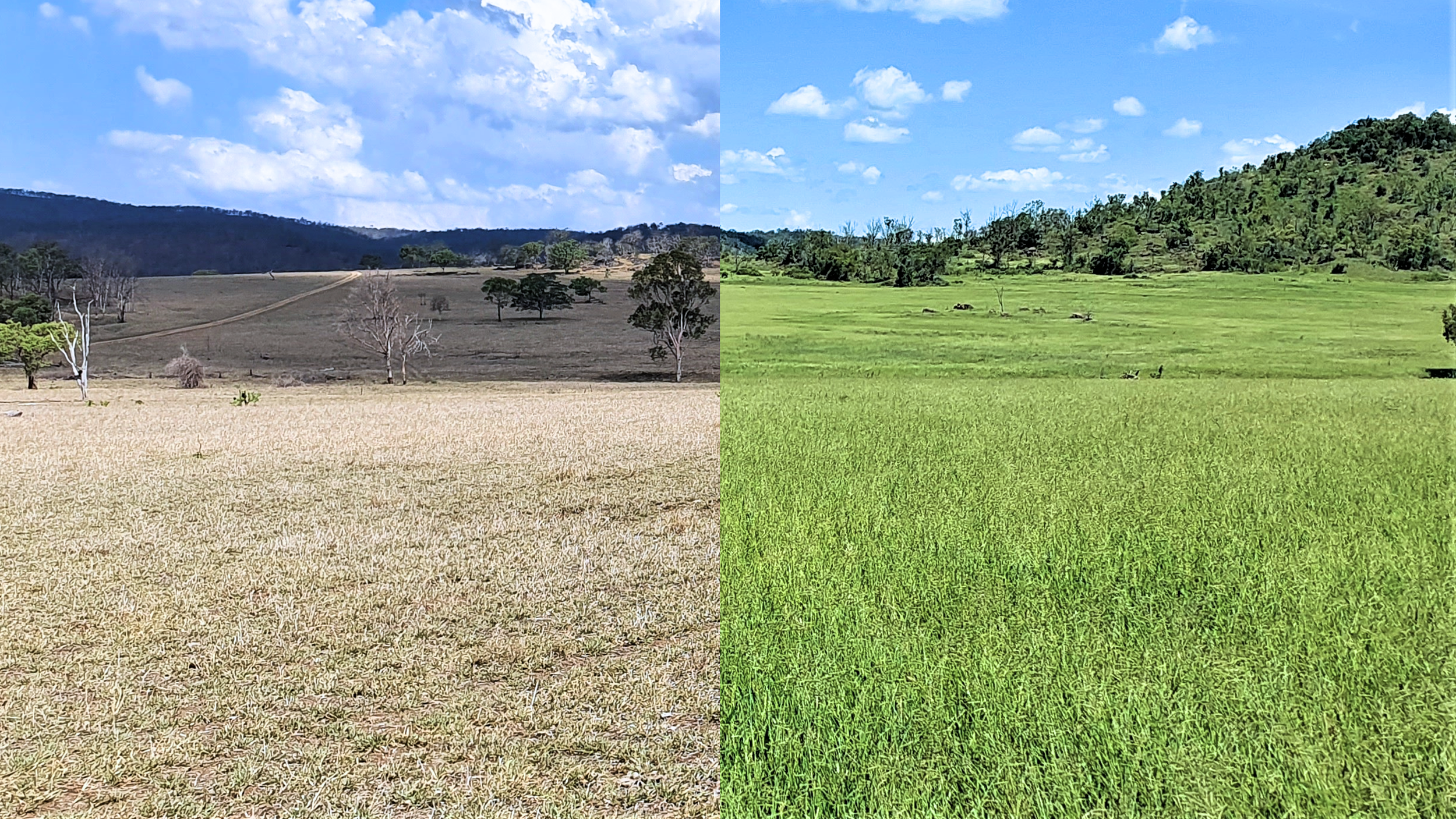 Agricultural land before and after application of biosolids