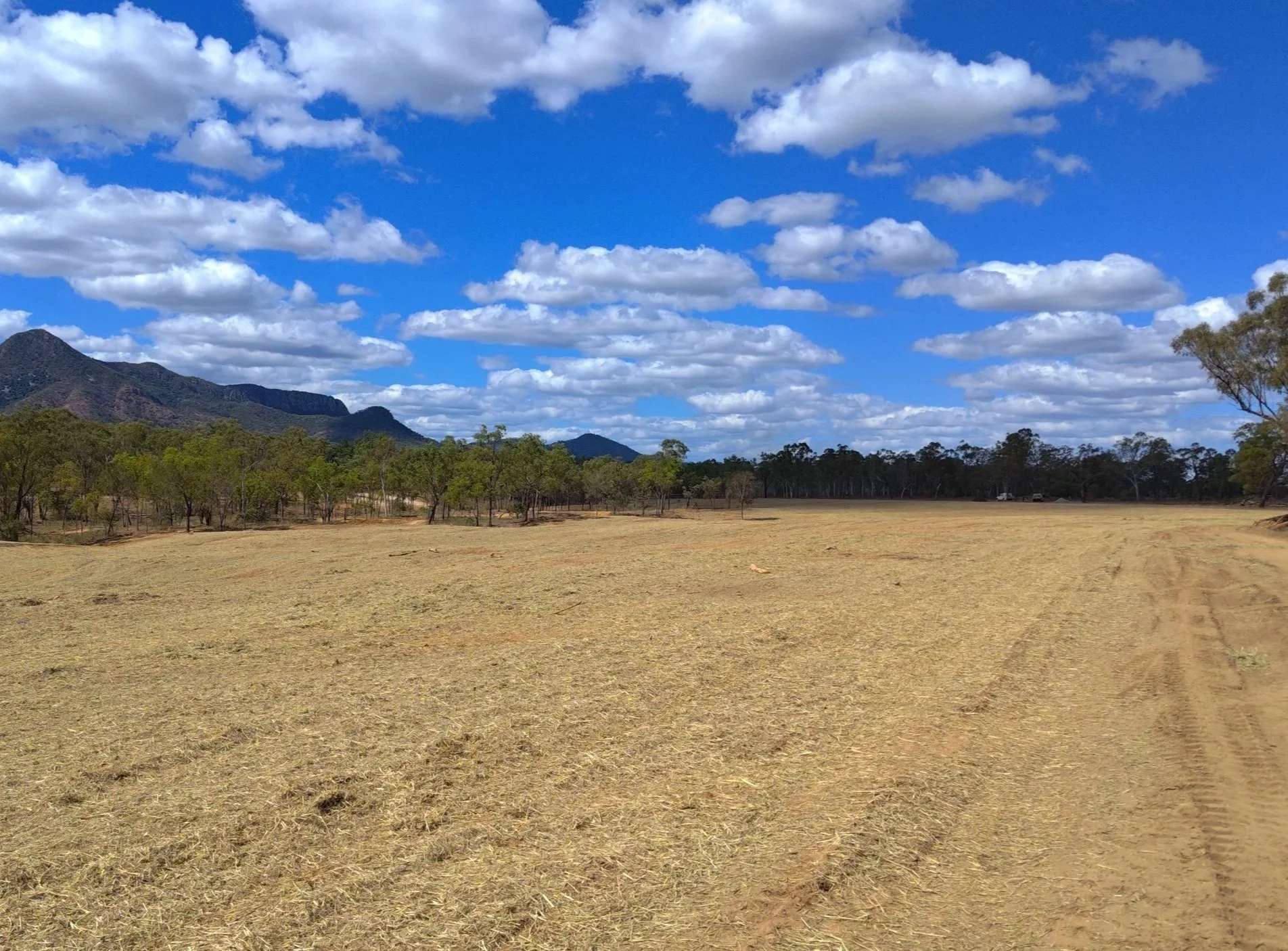 Rehabilitated landscape following hay spreading